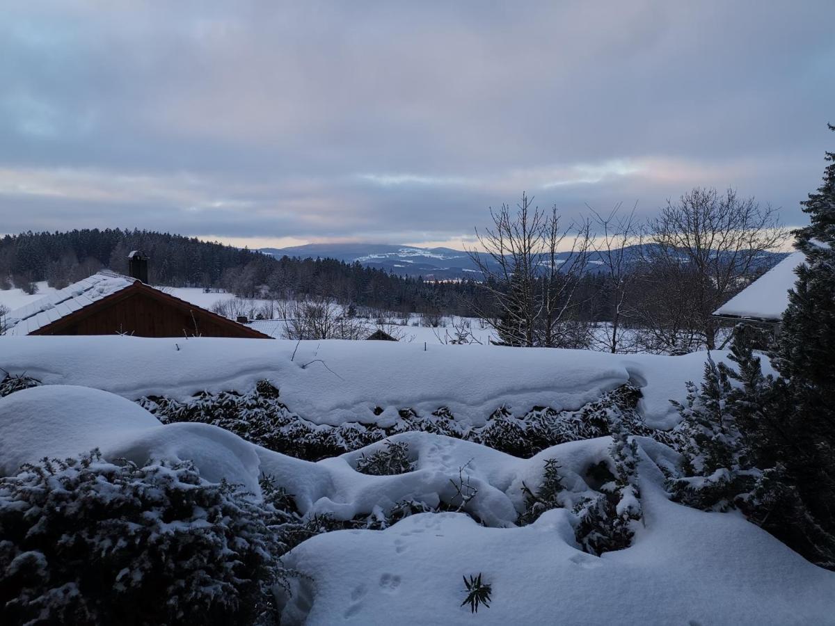 Ferienwohnungen "Haus Daxberg" Idyllisch Gelegen Im Bayerischen Wald Eppenschlag Exteriér fotografie
