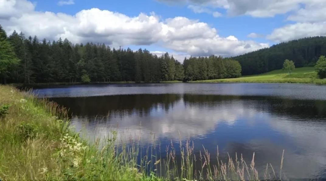 Ferienwohnungen "Haus Daxberg" Idyllisch Gelegen Im Bayerischen Wald Eppenschlag Exteriér fotografie