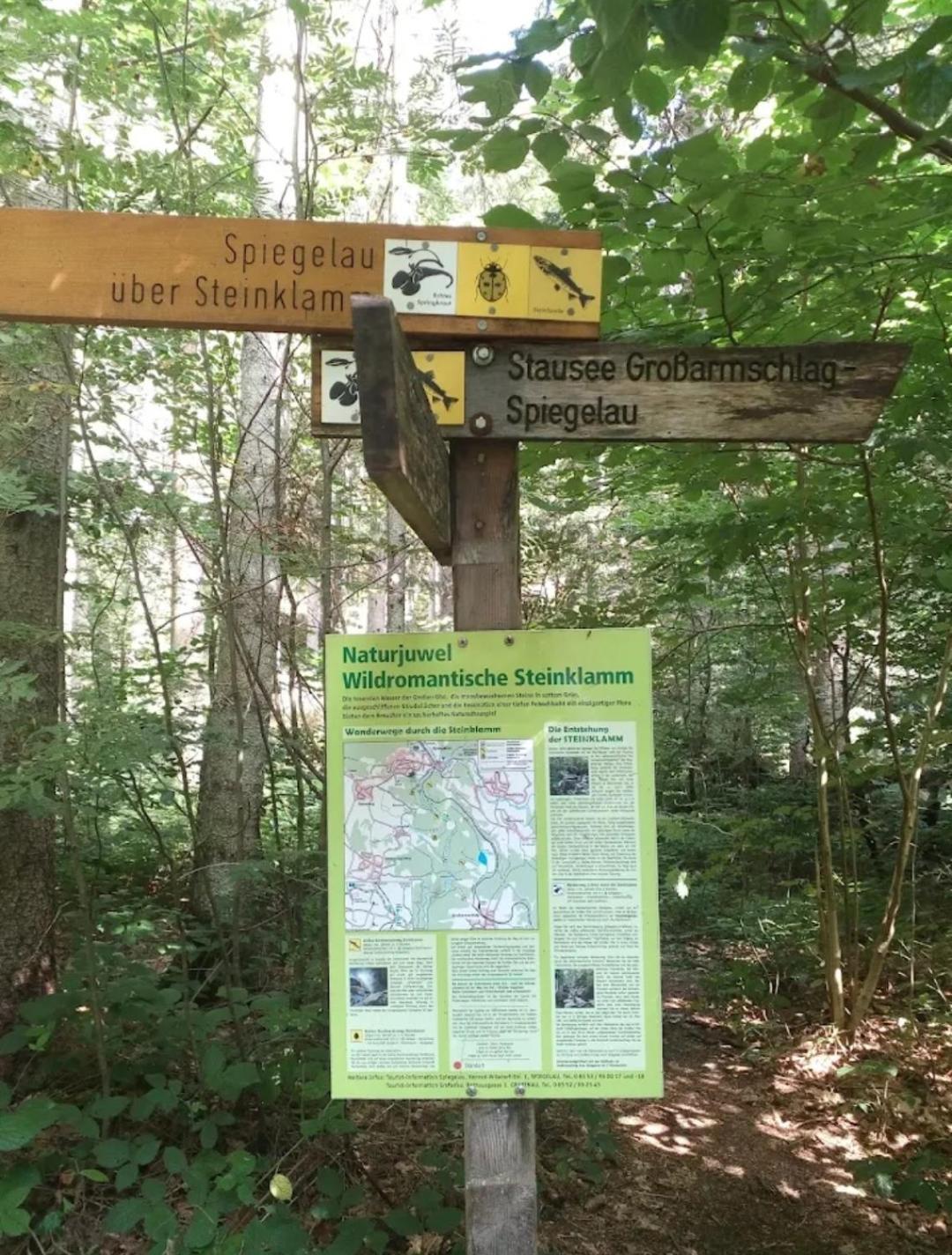 Ferienwohnungen "Haus Daxberg" Idyllisch Gelegen Im Bayerischen Wald Eppenschlag Pokoj fotografie